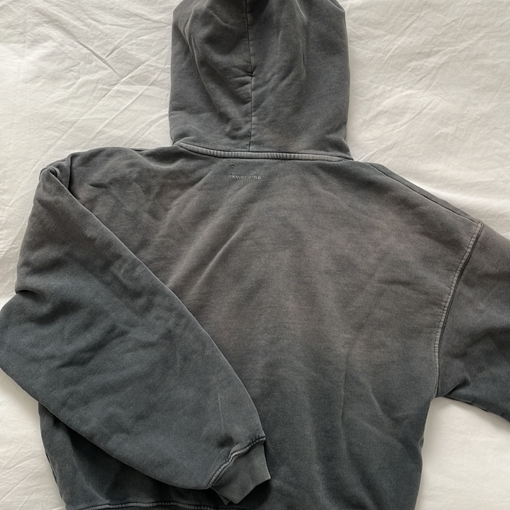 Anine Bing Vintage Bing Alec Hoodie - Picture 8 of 8